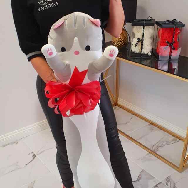 110cm kaisukiisu